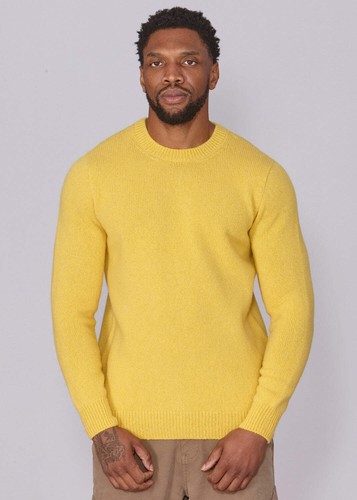 Shetland wool mens - crew, neck