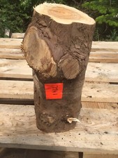 Yew Wood,yew Length,yew,yew Timber 