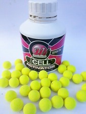 Mainline Cell pop ups 15mm
