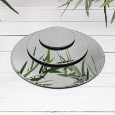 Mirrored Glass Round Bevel