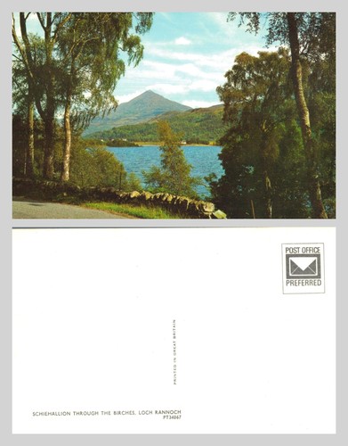 Vintage postcard - vintage,