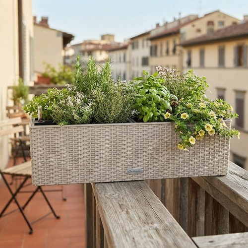Balconera cottage self - 80,