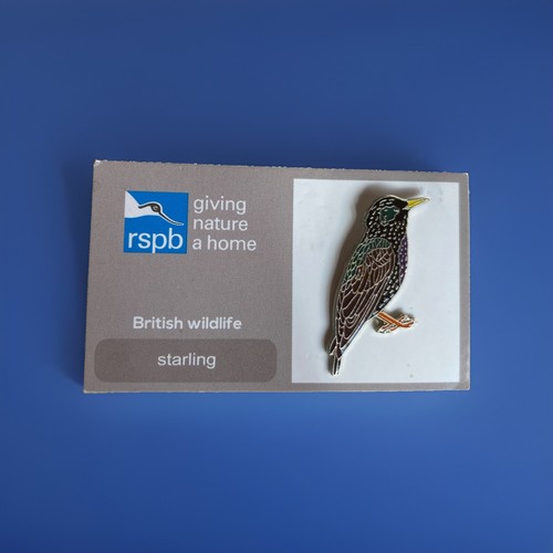 Rspb pin badge - on, a