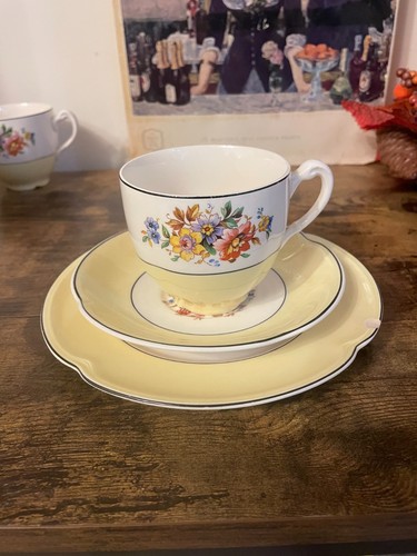 Johnson bros pareek trio - johnson, cup