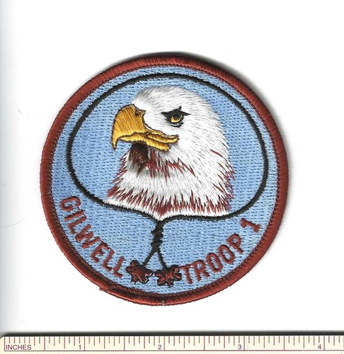 Scout bsa wood - fd,