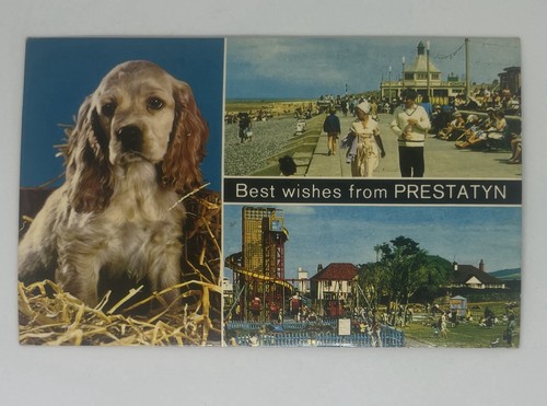 Vintage welsh british - vintage,