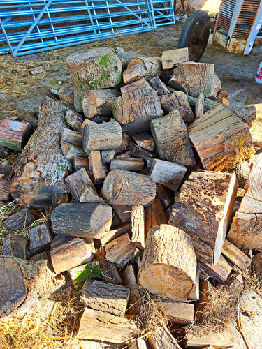 Split firewood logs - firewood, pile