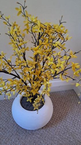 Qvc peony flowers yellow - qvc,