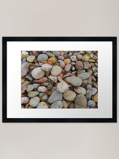 Garden Pebbles with Many