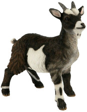 Pygmy Goat Ornament Resin Life