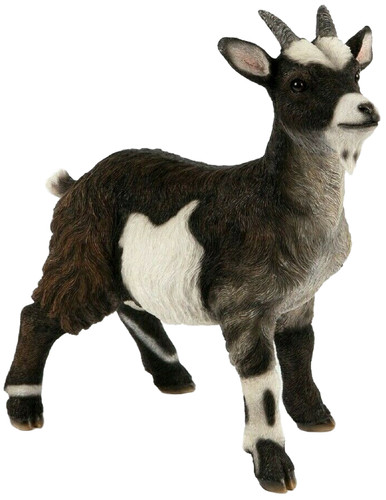Pygmy goat ornament resin - ornament, life