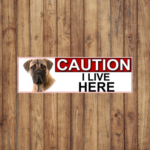 Bull mastiff caution live - mastiff, i