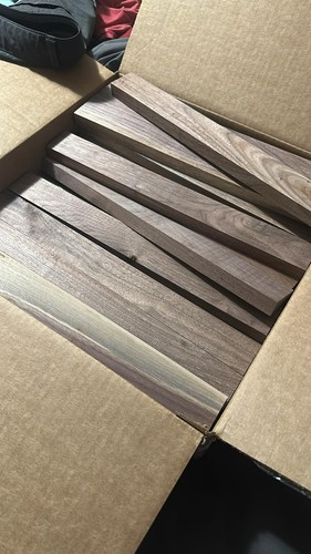 Pieces black walnut - 12, of