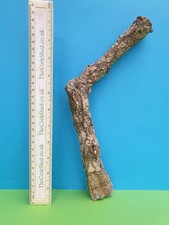CORK BARK BRANCH 31CM LEOPARD