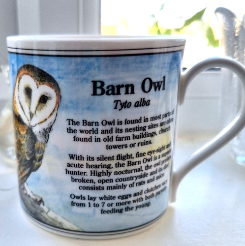 Barn owl mug - barn, ashley