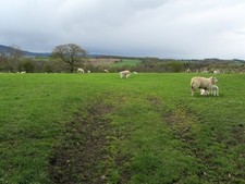Photo A1 Pasture on Scale Hill