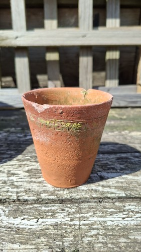 Sankey bulwell vintage - bulwell,