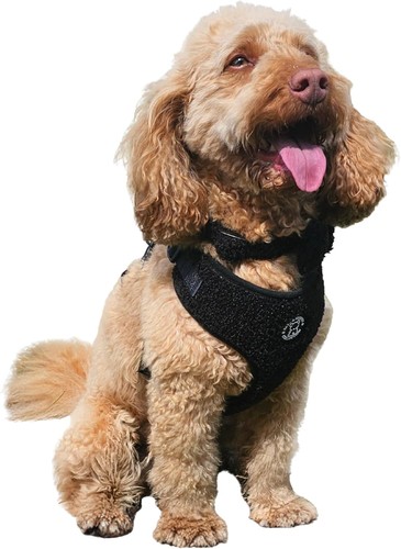 Hugglepets skye murphy teddy - hugglepets,