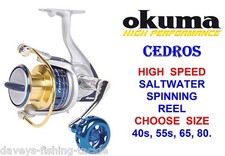 OKUMA CEDROS HIGH SPEED