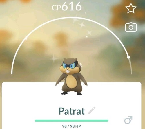 Pokèmon shiny patrat - go,
