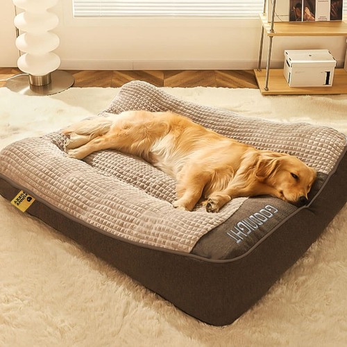 Funny fuzzy orthopaedic dog - orthopaedic,