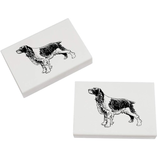 Spaniel breed dog - 'spaniel,