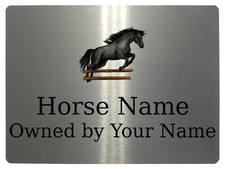 332 custom personalised horse - 332,