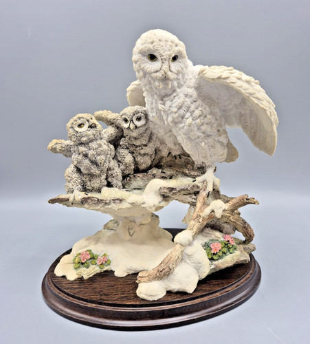 Country artists snowy owl - artists,