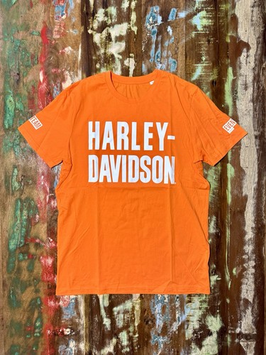 Harley davidson event - harley-davidson,