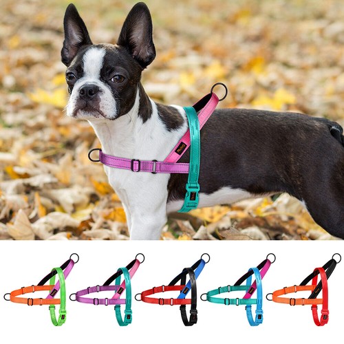 Pull dog harness - pull, with