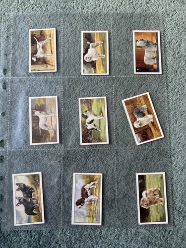 Gallaher cigarette cards dogs - gallaher,