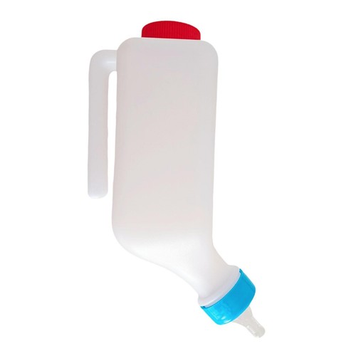 Calf bottle sheep - calf,