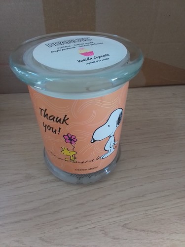 250g snoopy peanuts scented