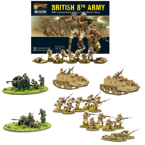 Bolt action polish - action,