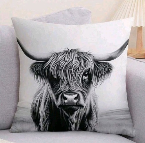 Beautiful highland cow - 1,