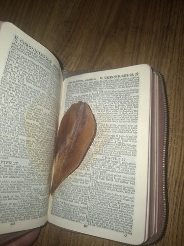 Vintage cambridge kjv holy - kjv,