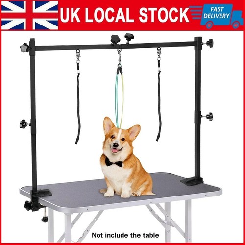 Dog pet grooming table - dog,