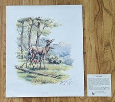 Lowell davis signed - davis,