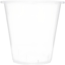 Stewart Clear Orchid Pot