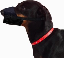 Dingo Nylon Muzzle for Jack