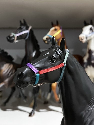 Multicolor model horse - multicolor, halter