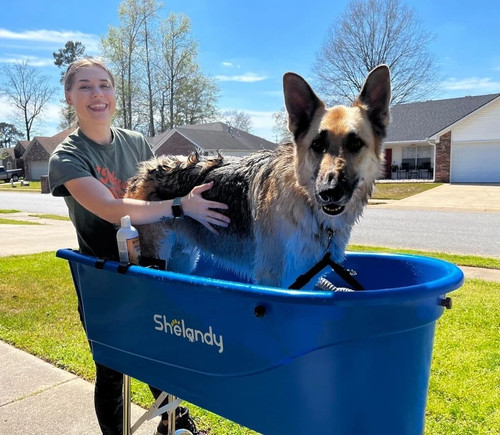Elevated pet bathtub grooming - elevated,