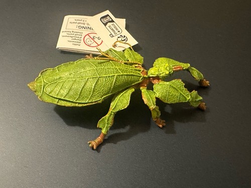 Papo 50323 leaf insect - papo,