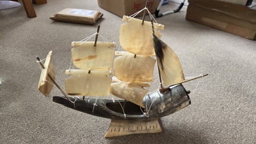 Cow bull horn ship sailing - horn,