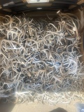 3, 5, 10 Pounds Bulk Whitetail