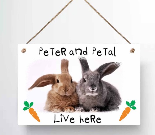 Personalised rabbit sign - sign, for
