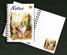 Shetland Sheepdog / Sheltie