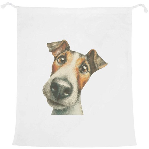 Fox terrier dog portrait - 'fox,