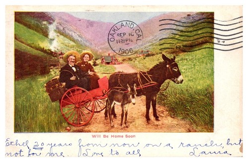 1906 colorful couple - 1906, on