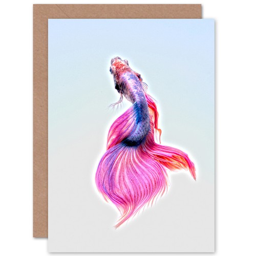 Siamese fighting fish - siamese,